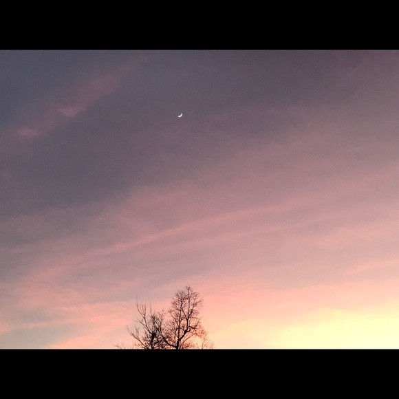 Meet your Posher, Brian - Picture 1 of 4